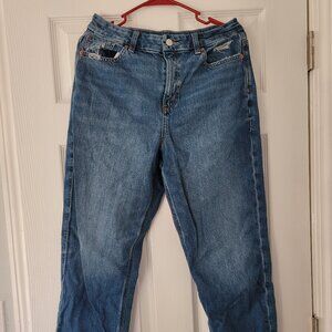 American Eagle 10 Short Curvy Mom Jean